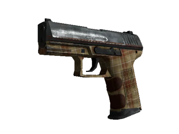 P2000 | Coach Class (Field-Tested)