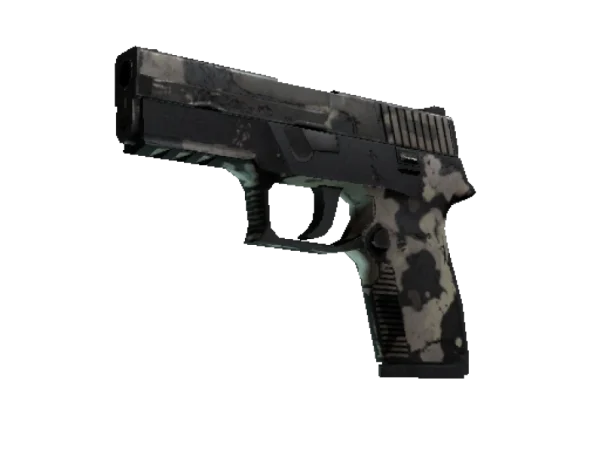 P250 | Black & Tan (Battle-Scarred)
