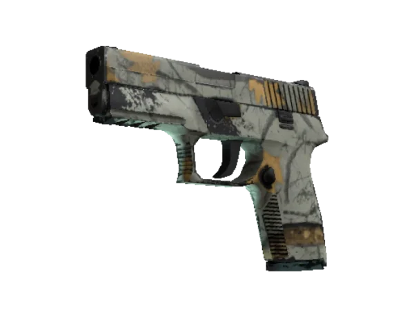 P250 | Modern Hunter (Field-Tested)