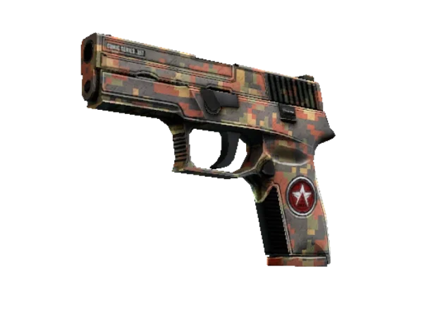P250 | Red Rock (Minimal Wear)