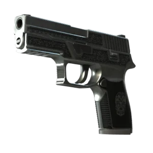 StatTrak™ P250 | Cartel (Field-Tested)