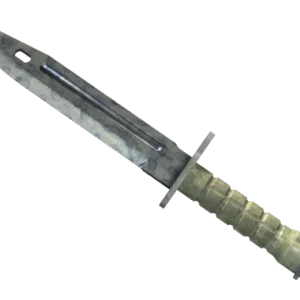 ★ Bayonet | Stained (Well-Worn)