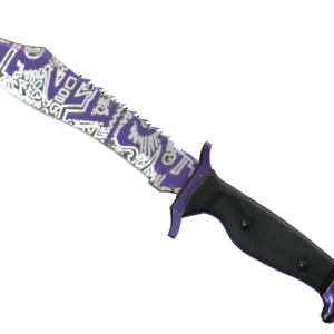★ Bowie Knife | Freehand (Field-Tested)
