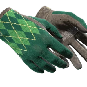 ★ Driver Gloves | Hand Sweaters (Field-Tested)