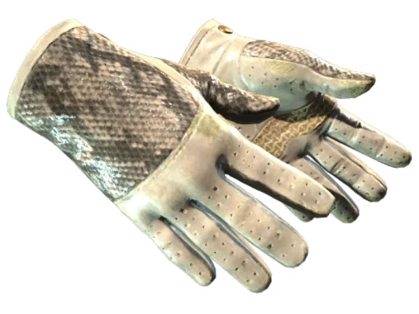 ★ Driver Gloves | King Snake (Field-Tested)