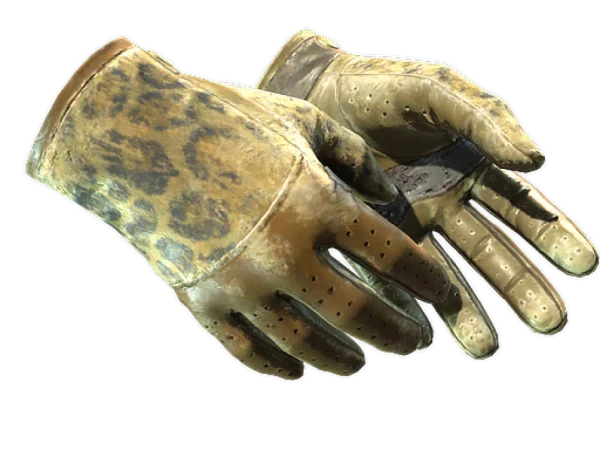 ★ Driver Gloves | Queen Jaguar (Battle-Scarred)