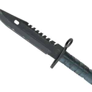 ★ M9 Bayonet | Night (Field-Tested)