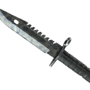 ★ M9 Bayonet | Stained (Well-Worn)