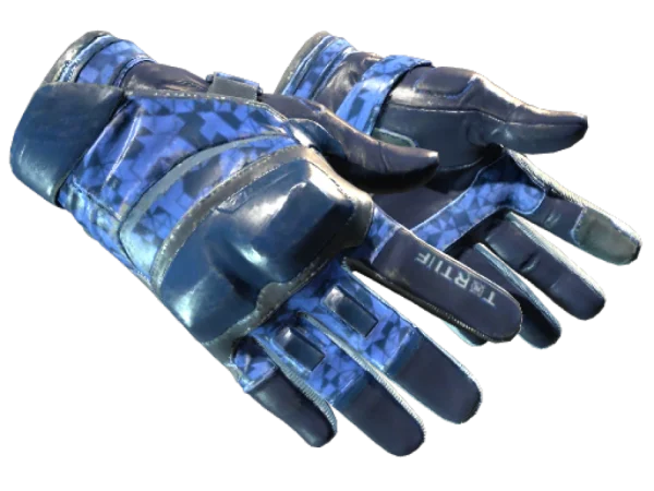 ★ Moto Gloves | Polygon (Field-Tested)