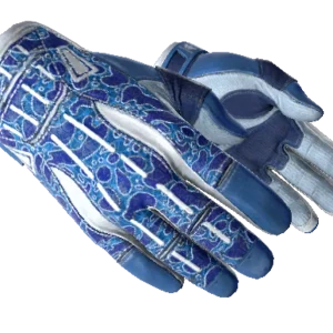 ★ Sport Gloves | Amphibious (Minimal Wear)