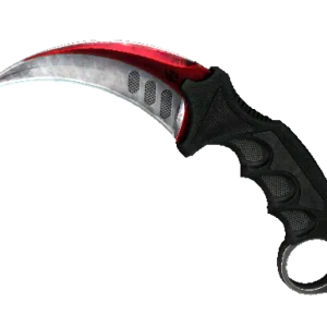 ★ StatTrak™ Karambit | Autotronic (Well-Worn)