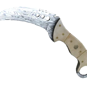 ★ StatTrak™ Talon Knife | Damascus Steel (Minimal Wear)